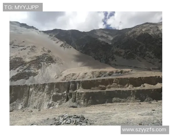 深度对话：探索陈丽在和平精英中的成长与挑战之路