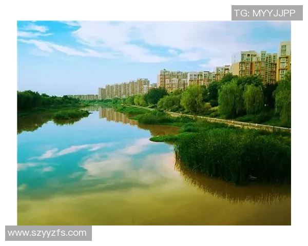 西安极限运动队的蜕变与成长探索新高度的转型之路